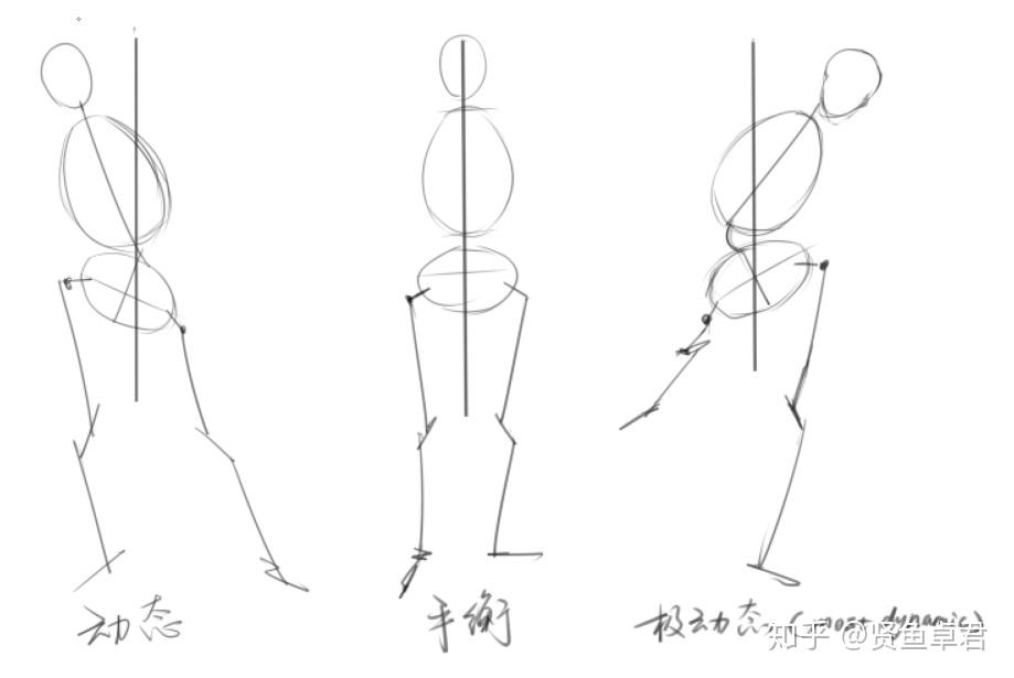 人体绘画学习：《Figure Drawing Design and Invention》03 知乎