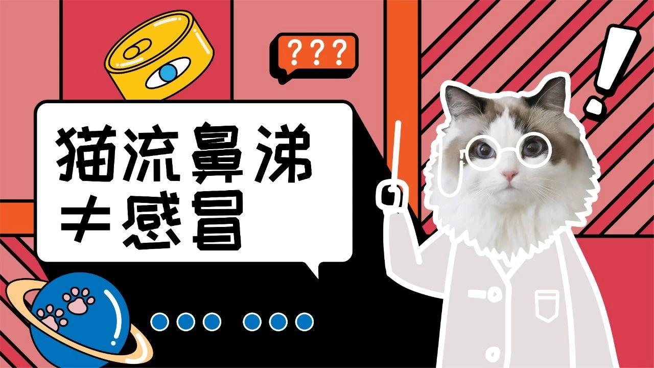 有鱼课堂 猫流鼻涕就是感冒吗 知乎