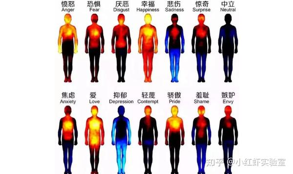 人体存在一圈光晕?科学家说:发光的颜色能辨别人的健康状况 - 知乎
