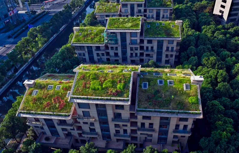 海绵城市建设重要知识点你知道吗