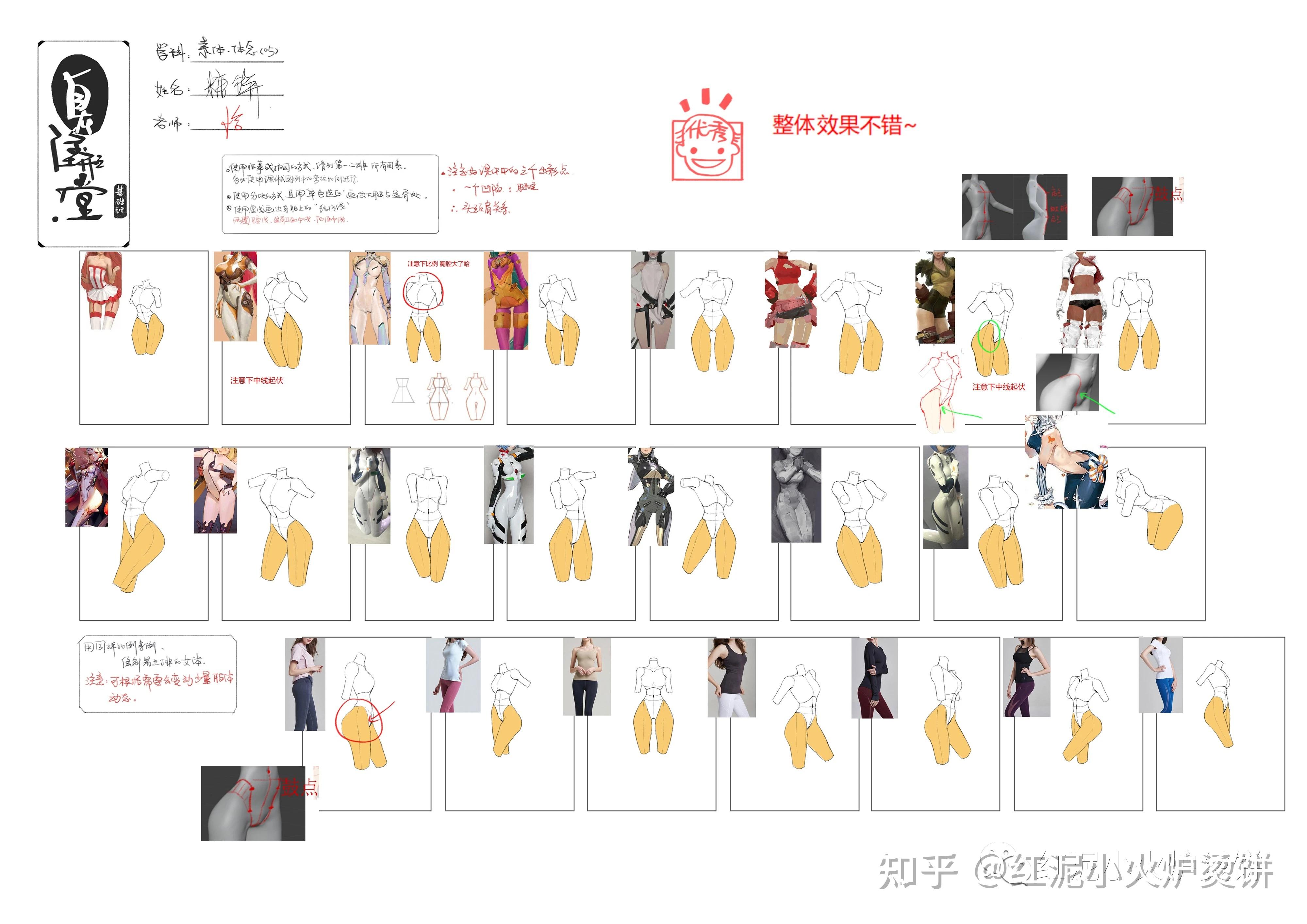 蚂蚁八手王课程-素体小结