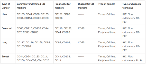 一文搞清用于各类细胞鉴定的CD分子（附CD1-CD371分子功能表） - 知乎