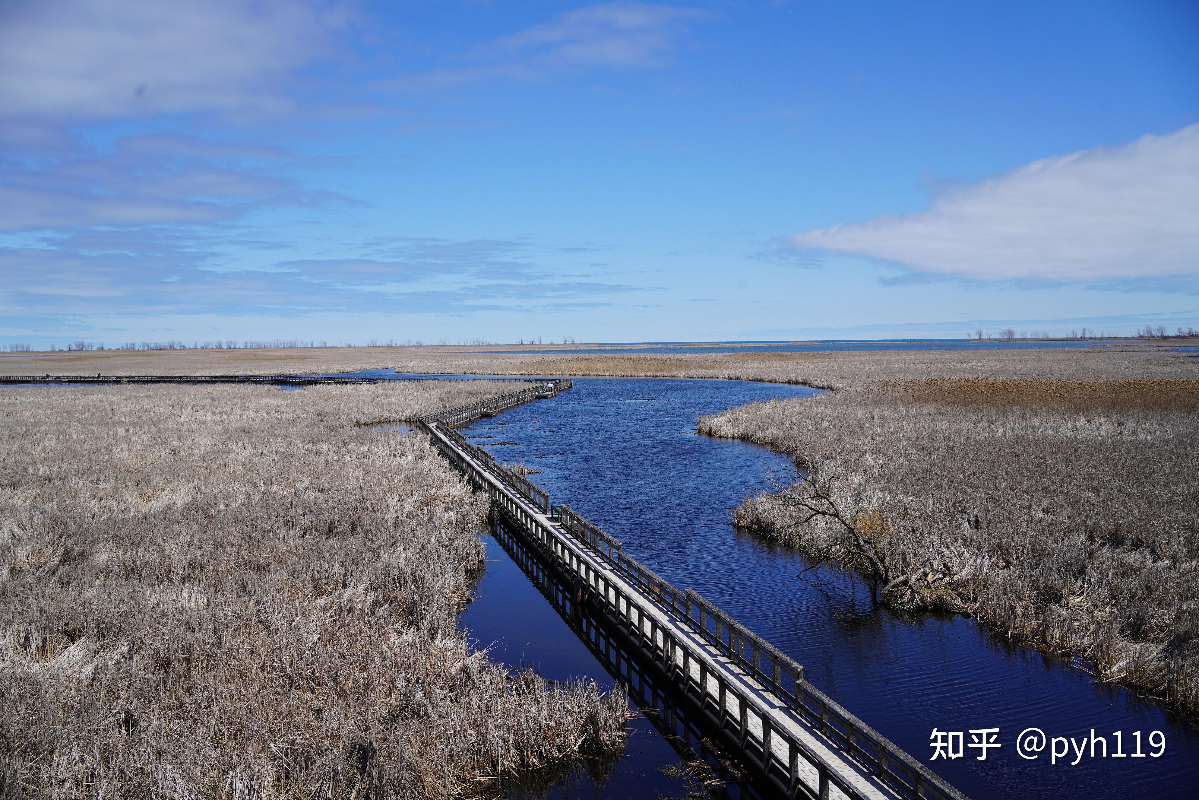 绿水湖畔的黑沼泽皮利角国家公园