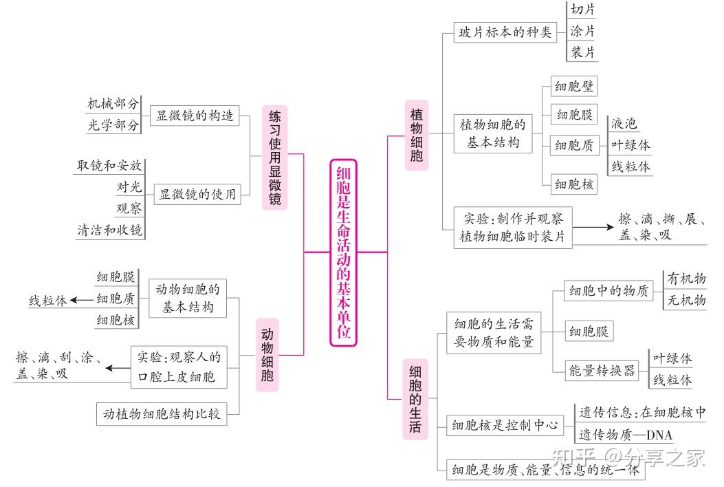 初中生物超全的知识梳理图归纳总结