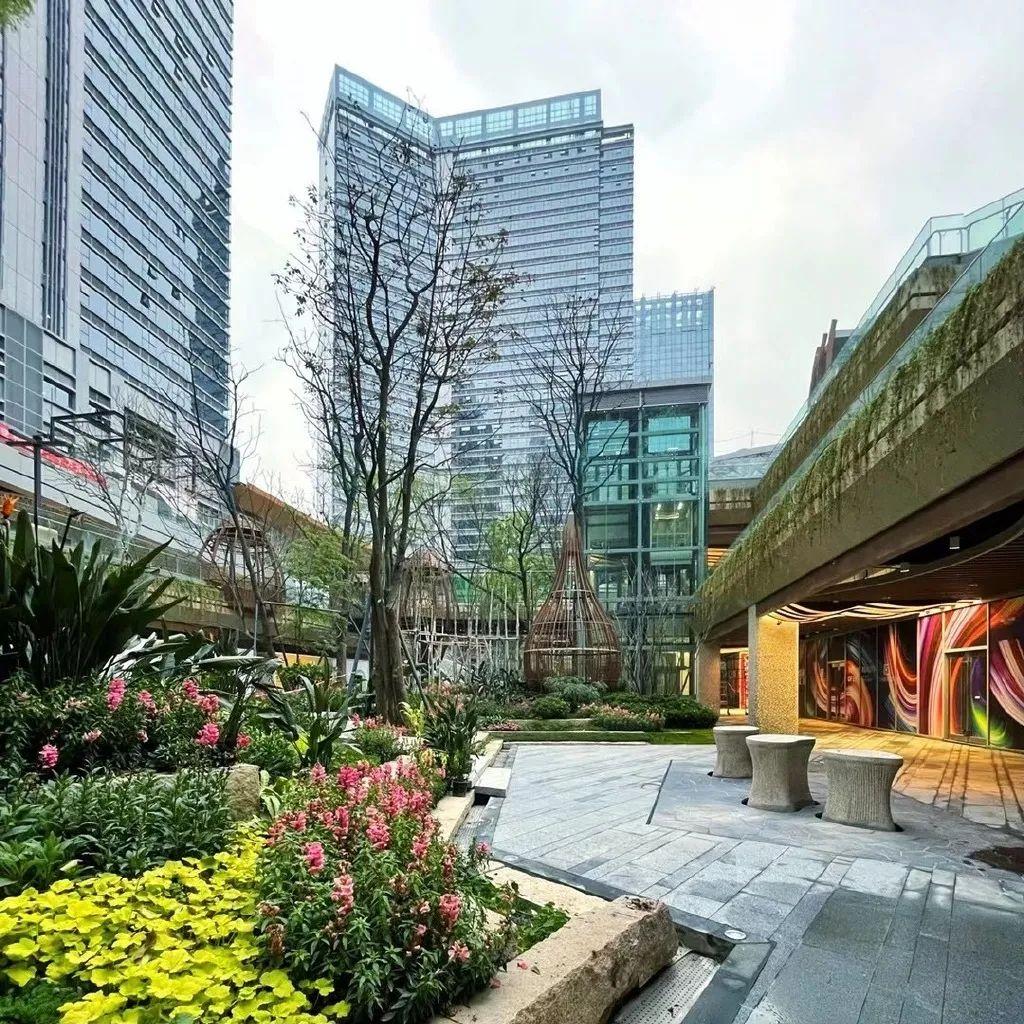 成都首个森系风大型商业综合体今天开街