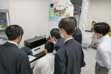 点击打开原图