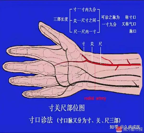 第四课 如何诊脉 - 知乎