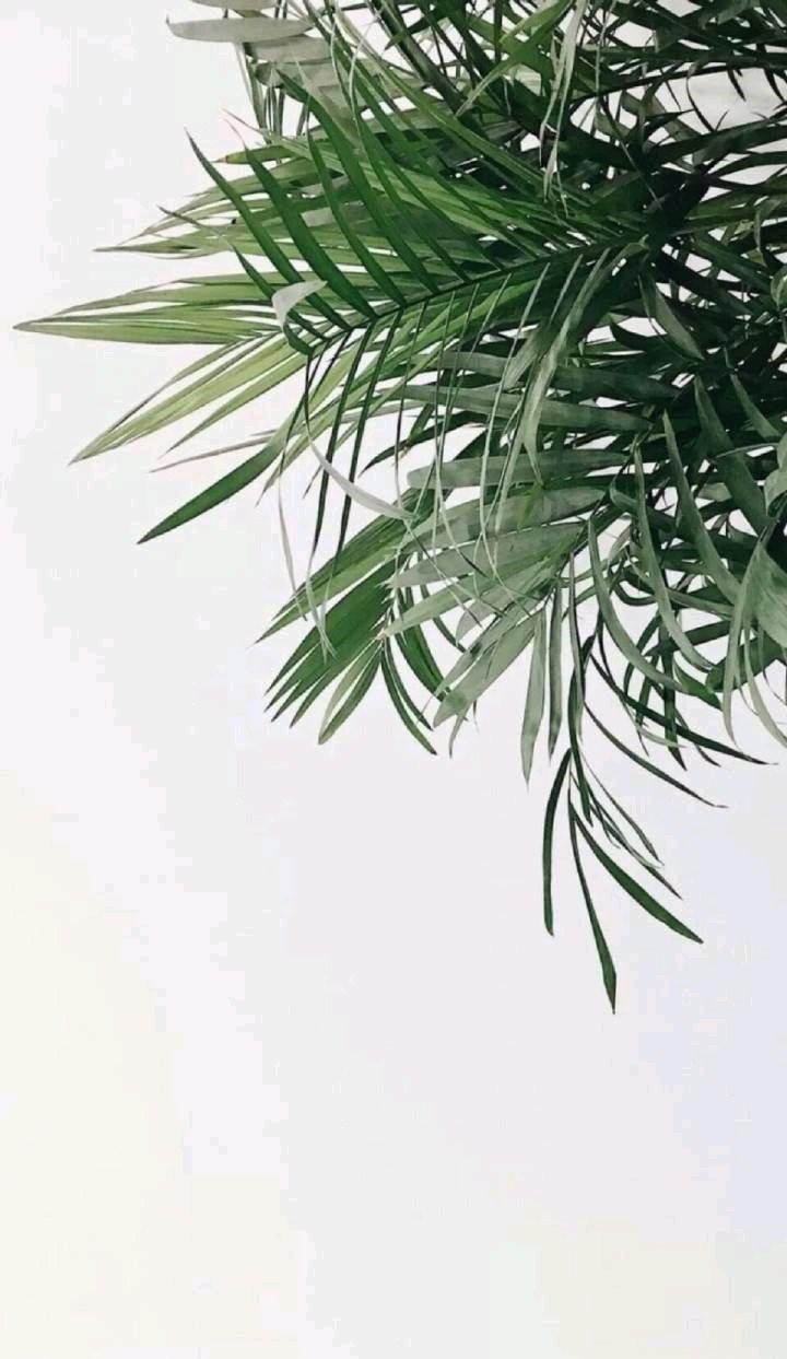 街上的人来来往往,我们都是志明与春娇,那些剧情也已烂熟于心,试探