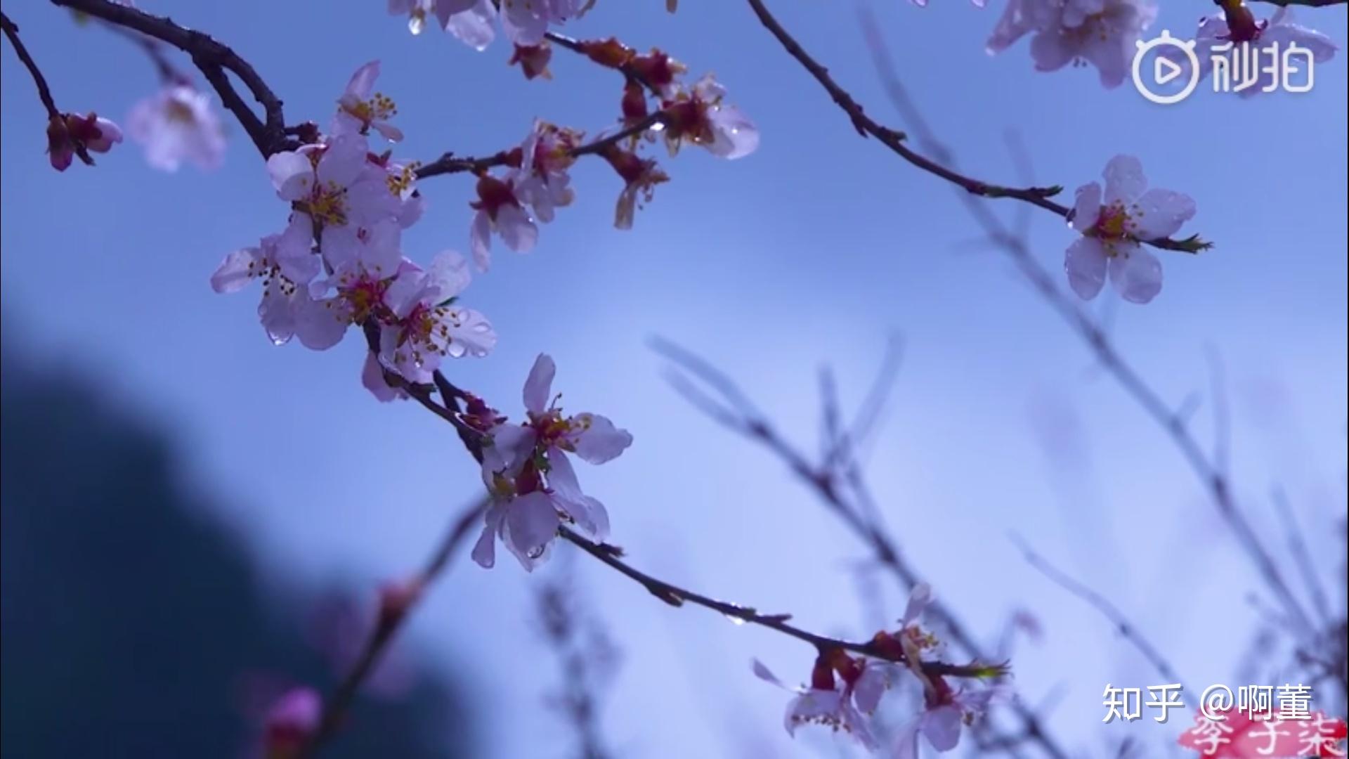 有哪些超级好看的古风壁纸