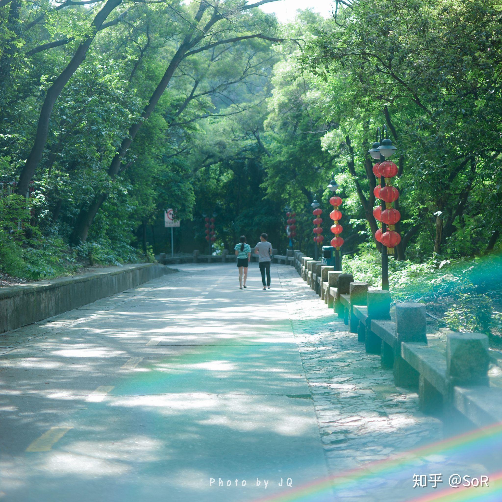 NIKON鏡頭收購