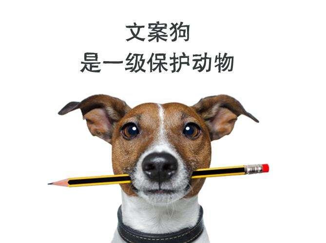 v2-6d298964987a45b8f2b7d10572d52977_1440w.jpg?source=172ae18b