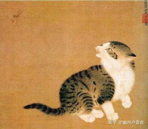 吸猫吗?古人是如何优雅地吸猫的? - 知乎