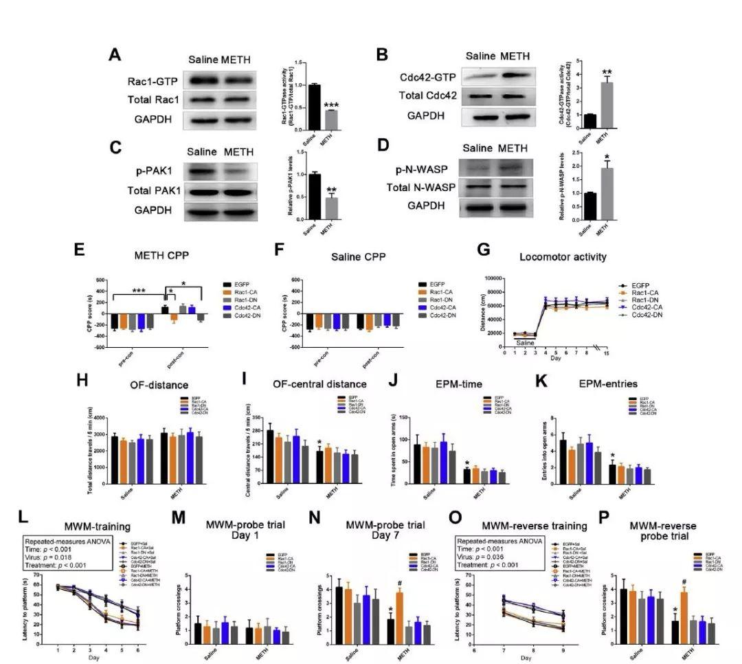 【客户文章】《Biological Psychiatry》南方医科大学张璐团队发现药物成瘾的新机制 - 知乎