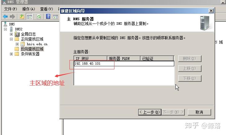 Windows server DNS服务器配置与管理