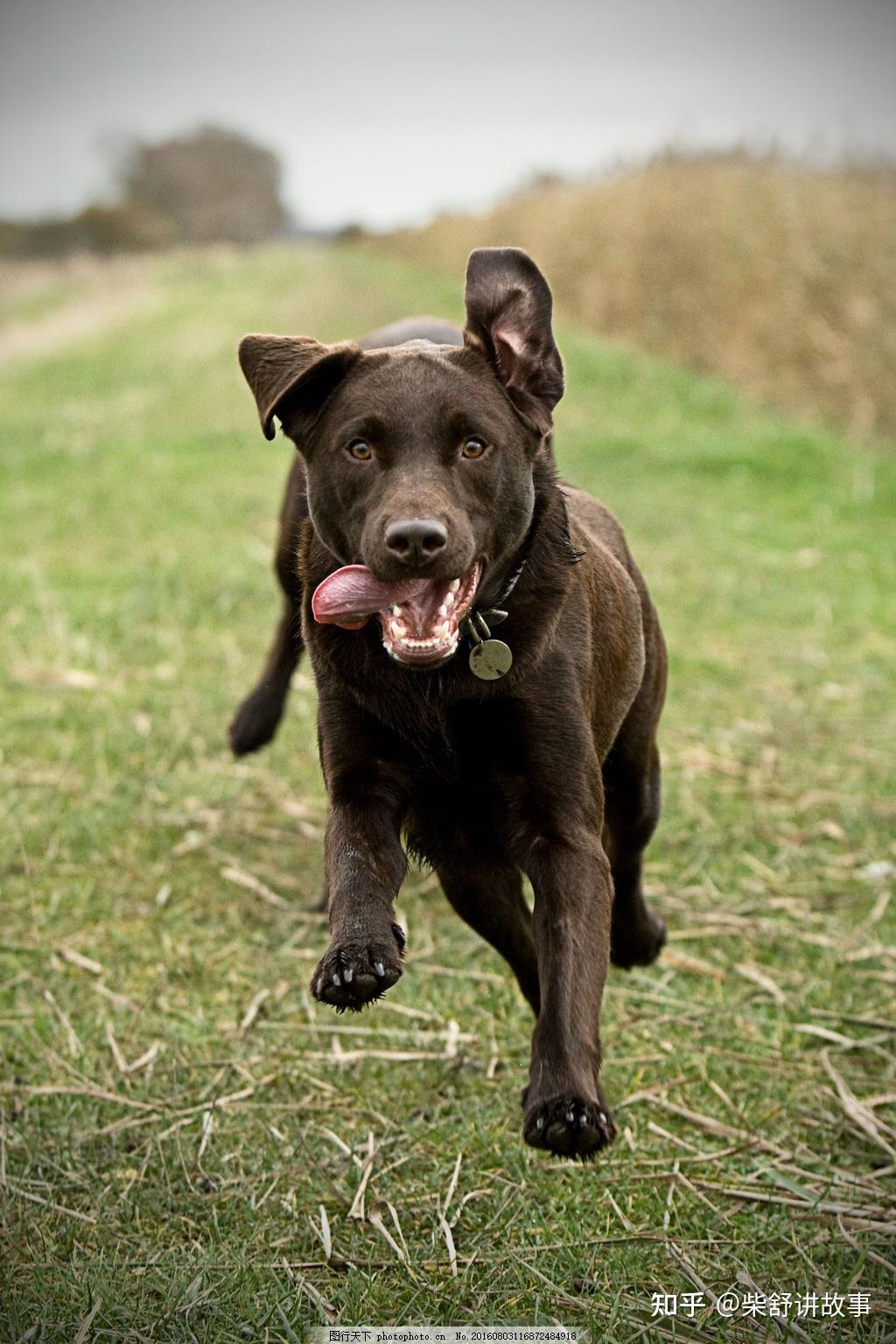 农村小伙初入社会被骗黑砖窑