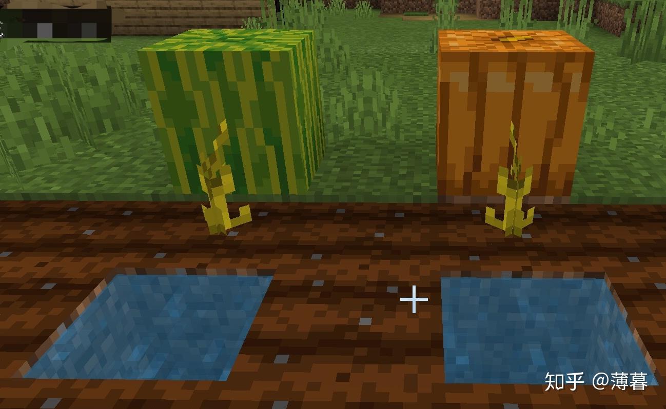 Minecraft生存指南专题：种植 - 知乎