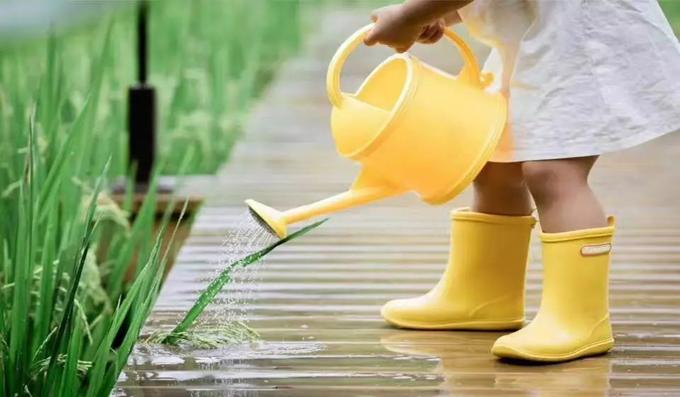 精品民宿丨禾肚里——蛙声稻香荷风星月 ,一间长在稻田里的民宿