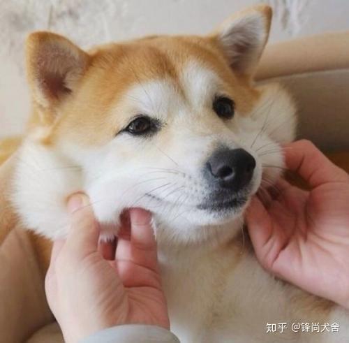 v2-6d5d9293dbd84d98bd24d03bddf795bd_r.jpg
