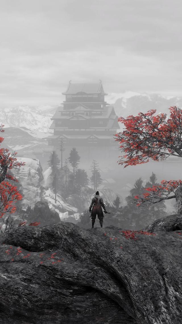 有什么游戏只狼影逝二度好看的壁纸分享下