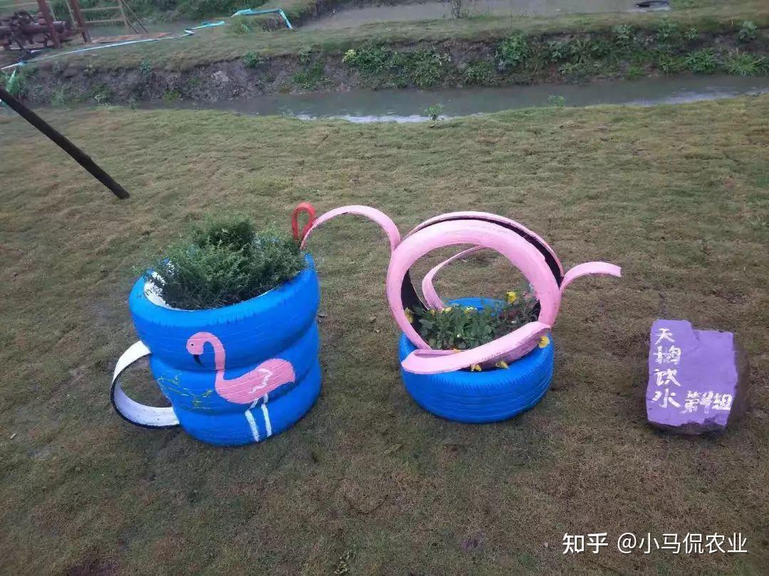 美女捡废弃轮胎造12种微景观种菜养花给土鸡建别墅真实用