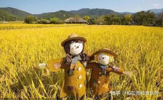 从稻草人中知道了什么道理