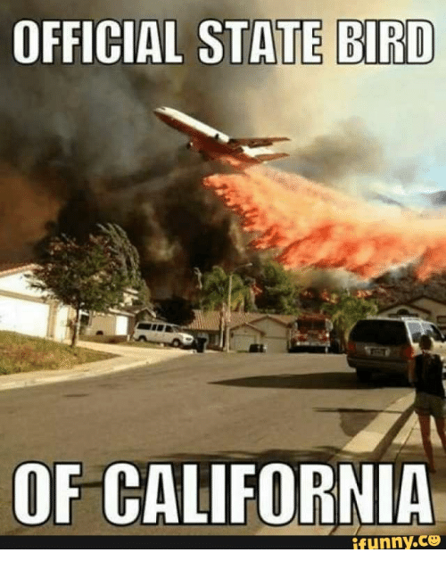 美国青年如何开地图炮①加州篇