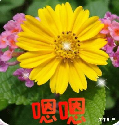 v2-6de73298f2d1c1476ec1a3a3f9b50d85_b.jpg