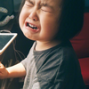 刘六六六教授
