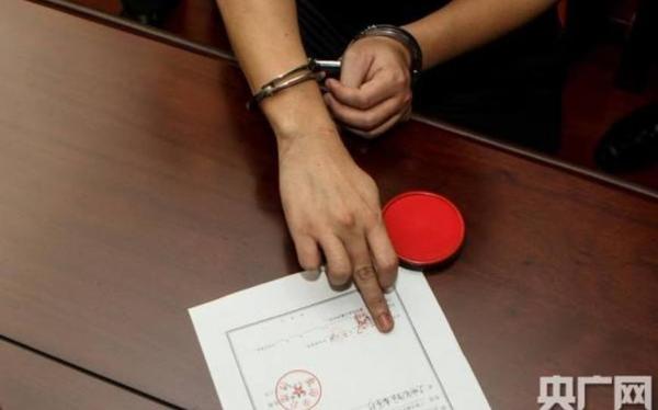 非法吸收公众存款和集资诈骗案件,律师促使检察院不批捕情形总结