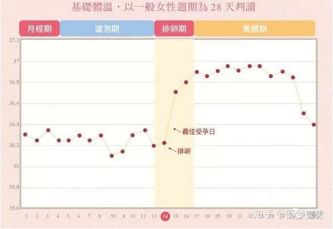 监测排卵，孕育希望：解读你的身体信号 (测排卵测怀孕)