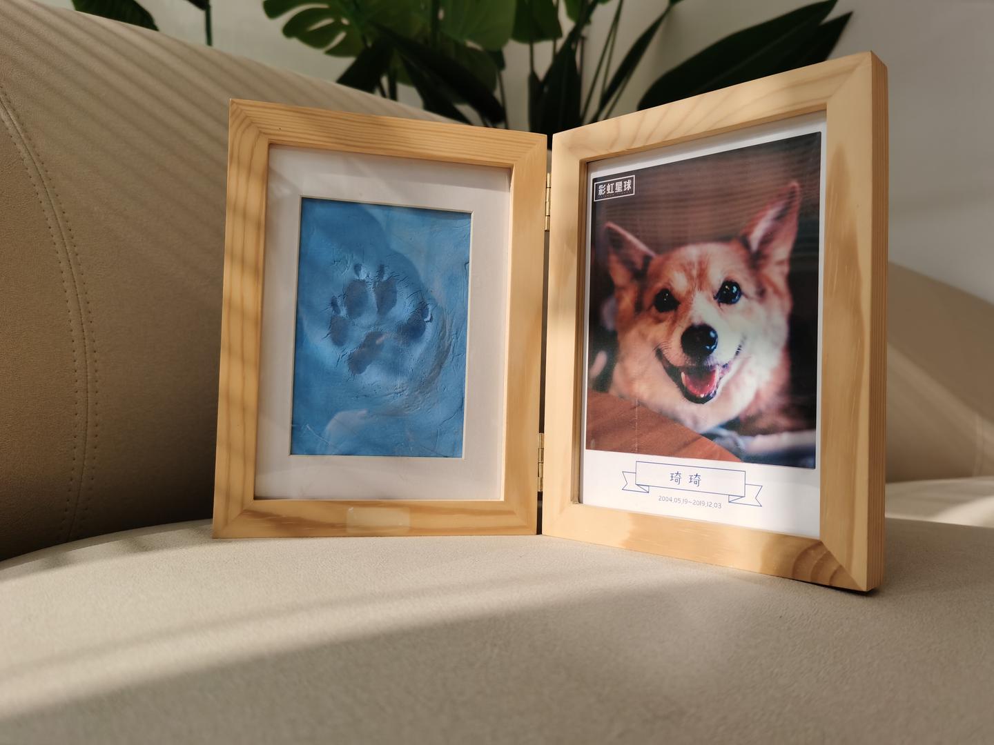 如何保留和宠物的永恒回忆呢 知乎 如何保留和宠物的永恒回忆呢 知乎