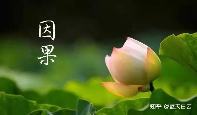 福报是由三世因果决定的