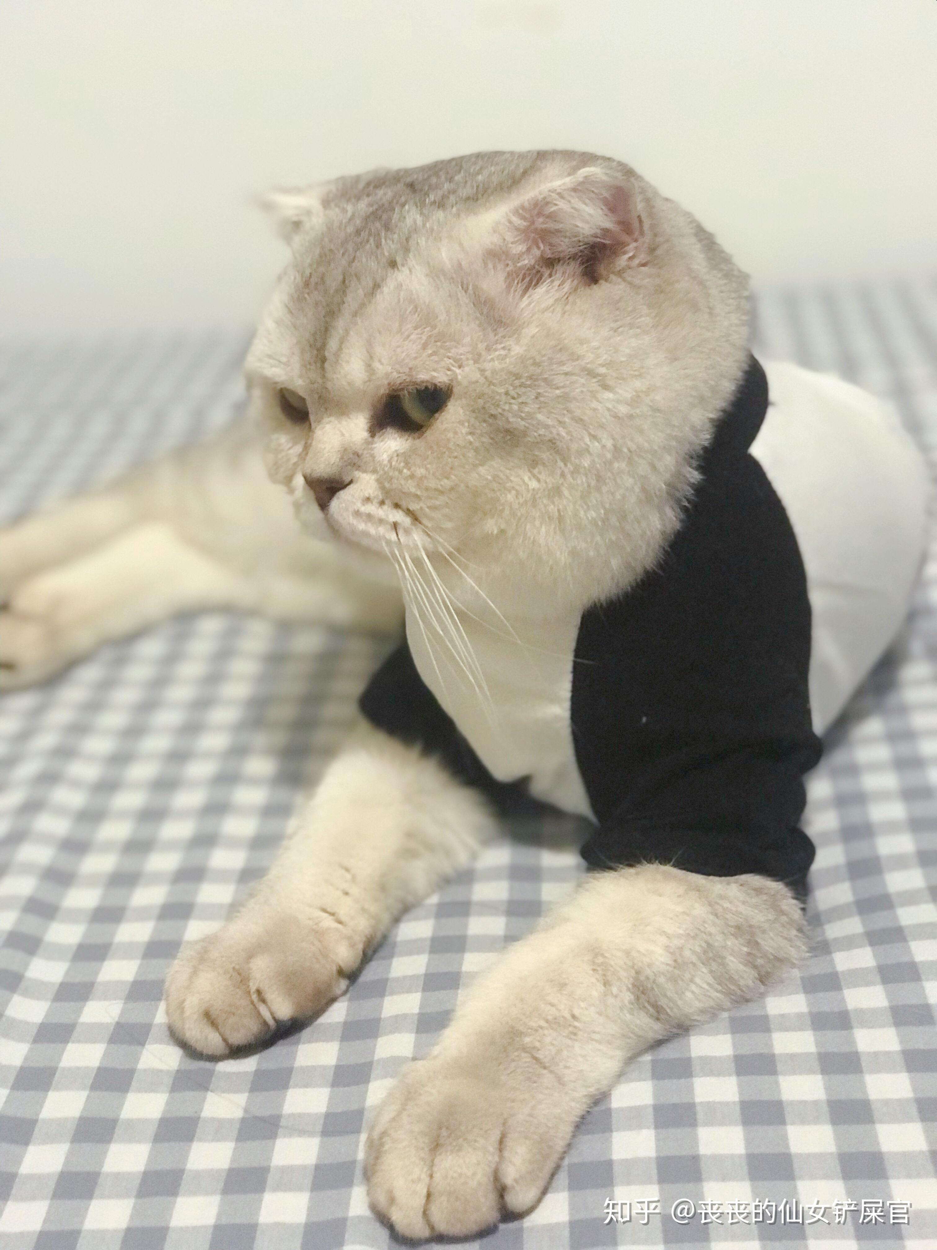 铝矾土振动筛分机 高服概率筛 分级除杂振动筛PG电子游戏- PG电子平台- PG电子官方网站