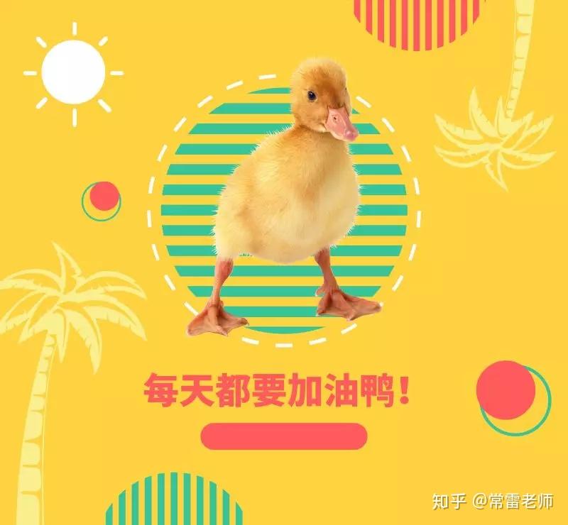 v2-6e1bea30c8a758b6e06d800b08e94001_r.jpg