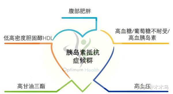 胰岛素抵抗而非胆固醇才是导致心血管疾病的主要原因