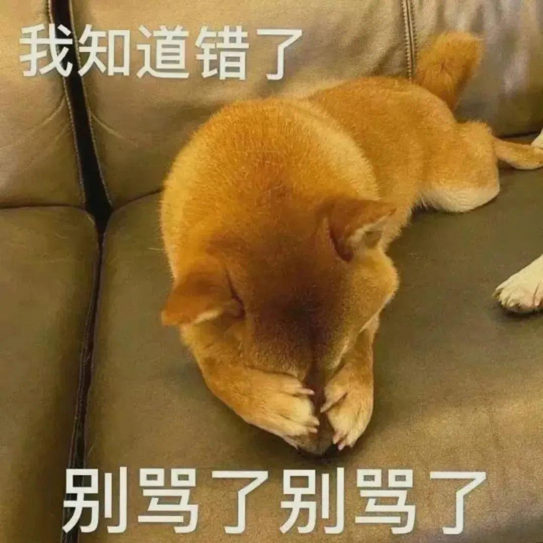 120张万能的表情包推荐-万能表情图片大全