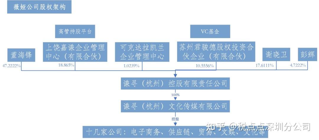 薇娅的公司股权架构