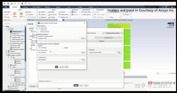 Fluent Species Mass Tranfer Model