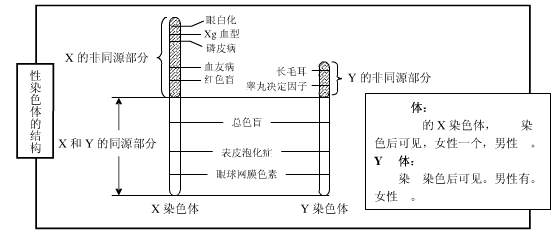 N支系人口_人口普查(3)