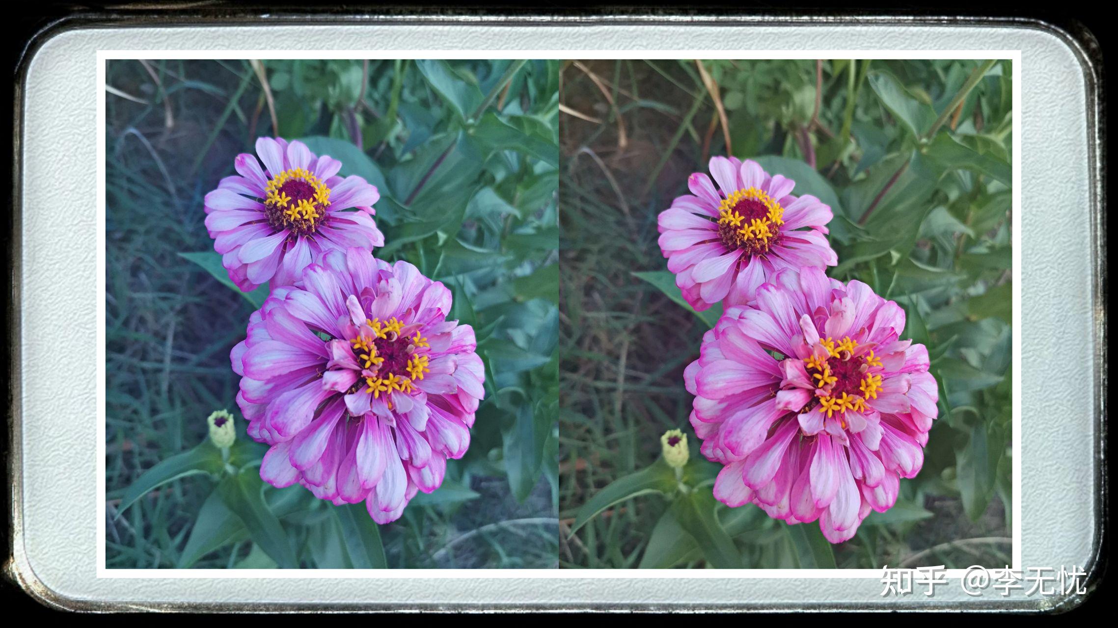 为什么有的人看东西,左右眼看到的颜色不一样?