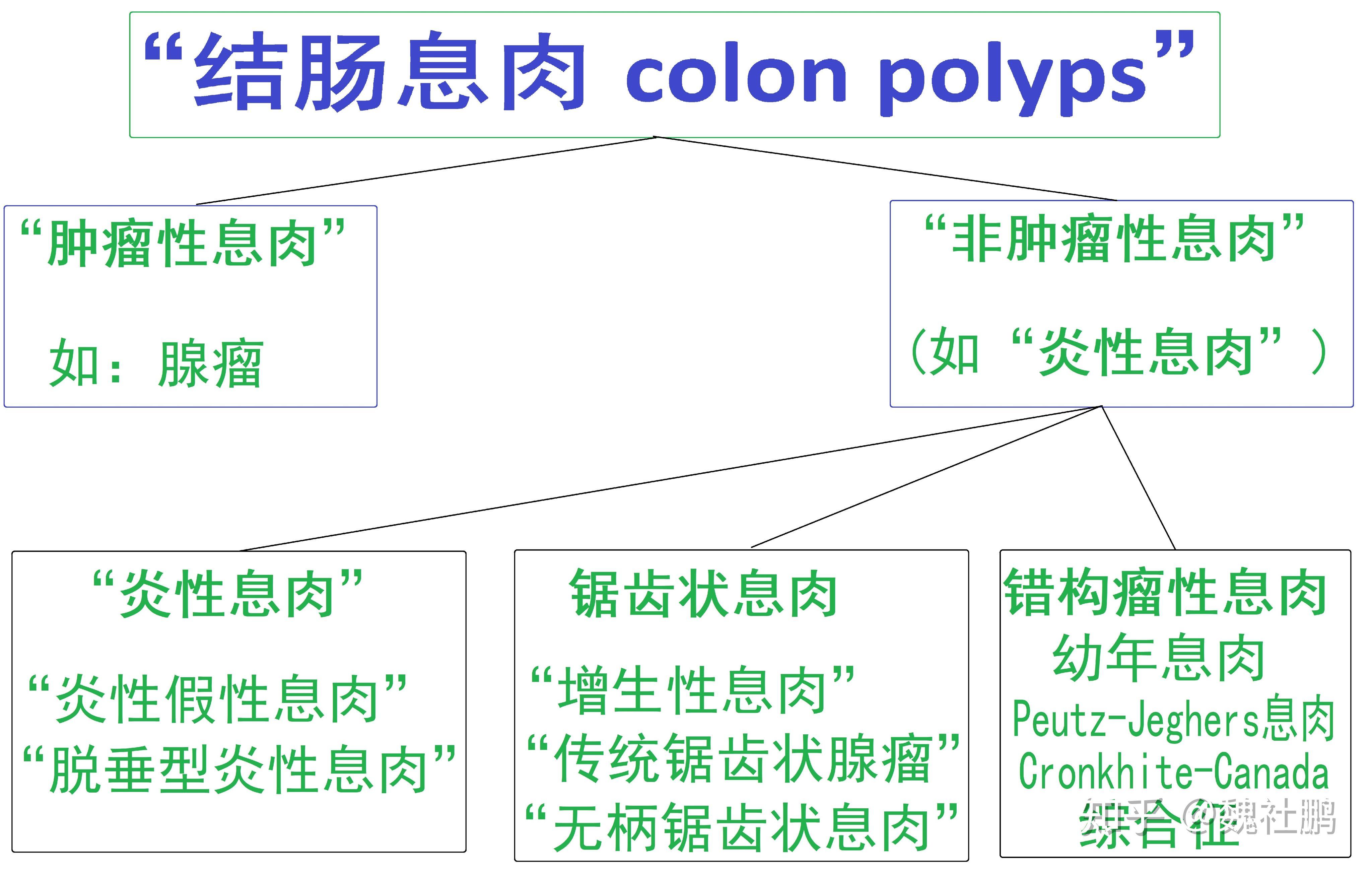 魏社鹏版医学百科——结肠息肉概述