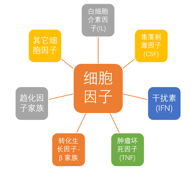 一文读懂CHASELECTION细胞因子