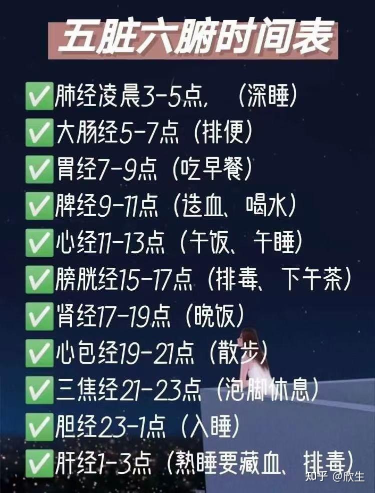 五脏六腑养生时间排表 - 知乎