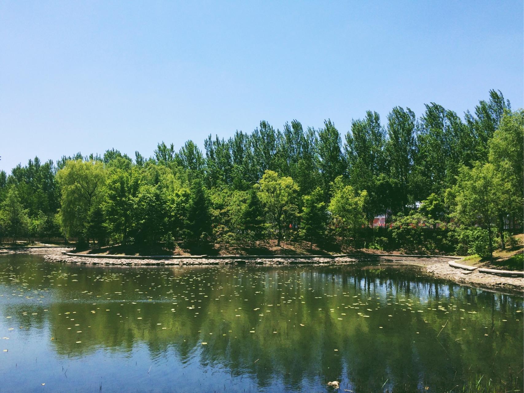 在长春市实验中学就读是一种怎样的体验?