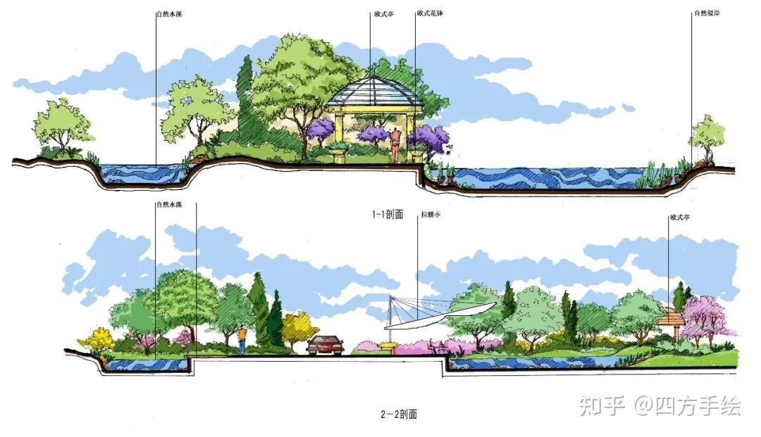 植物群落平面图立面图图片