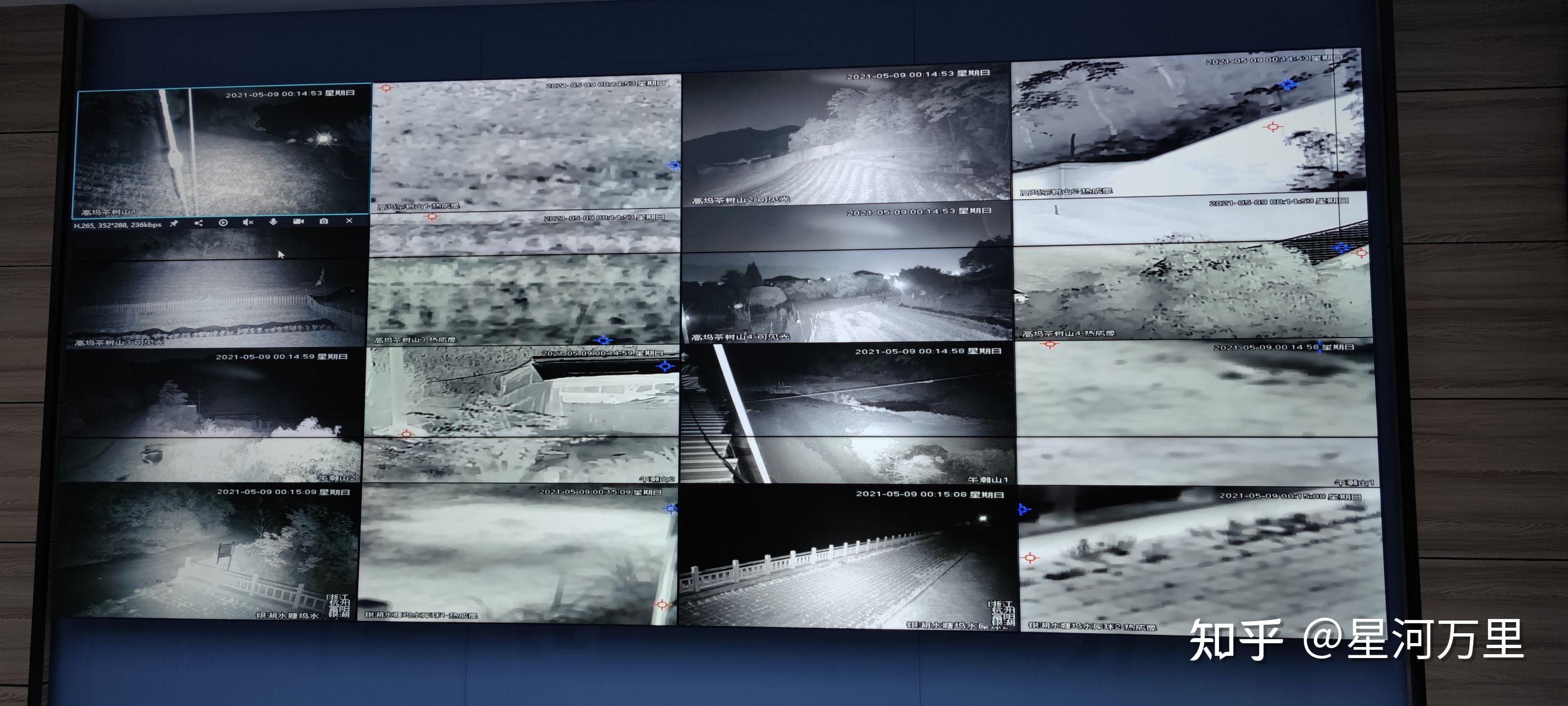 杭州野生动物世界 3 只金钱豹外逃,已找到 2 只,动物园可能需要承担