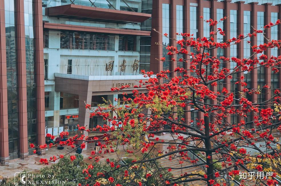 暨南大学的校园环境如何