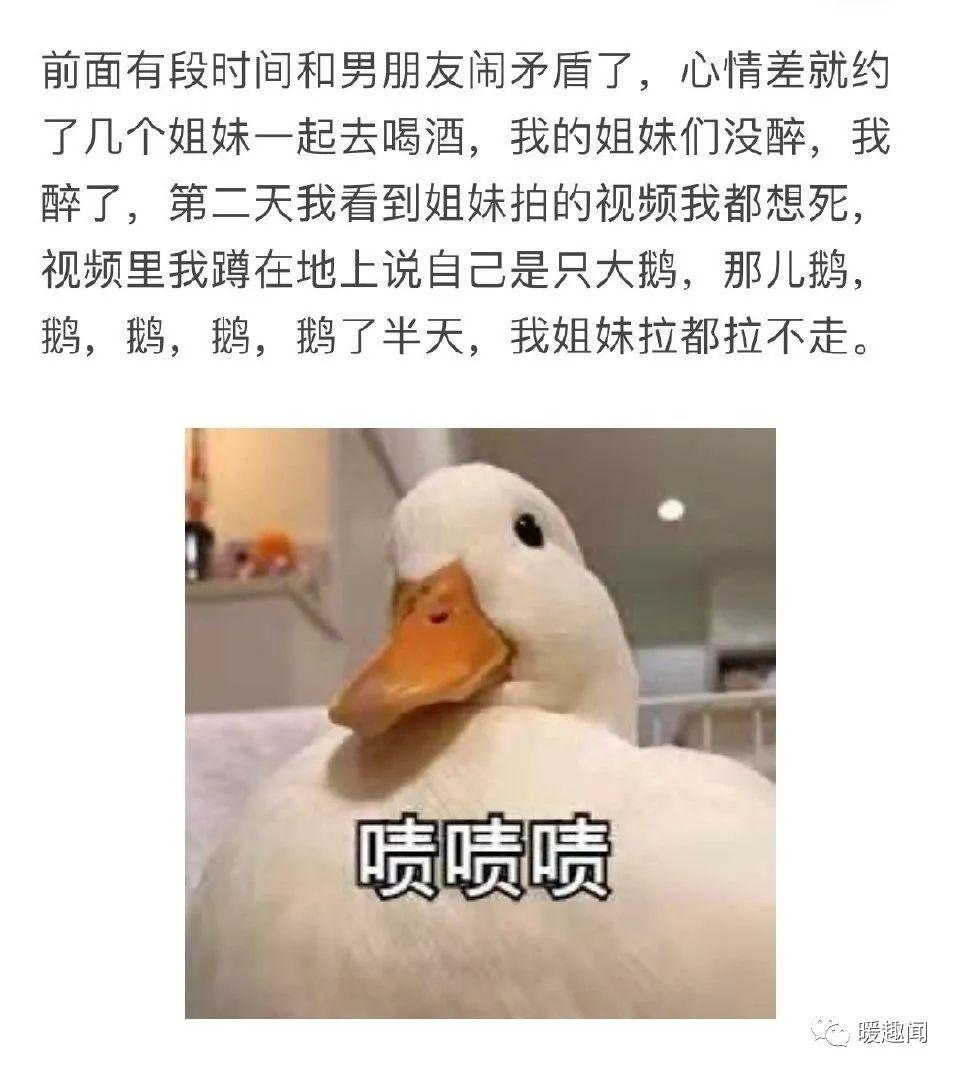 笑到肚子疼的沙雕搞笑幽默圖片一零八