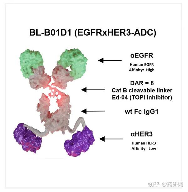 84亿美元：BMS引进百利天恒一款EGFR/HER3双抗ADC - 知乎