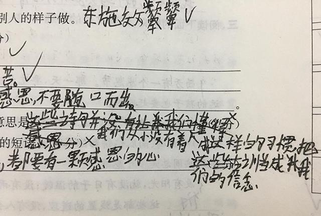 高中生栅栏字体走红网友这孩子得多耿直